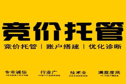 百度推广在旅游行业的应用及效果评估